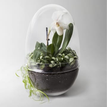 Invernadero Grow - x-large Ø20 cm - Design House Stockholm