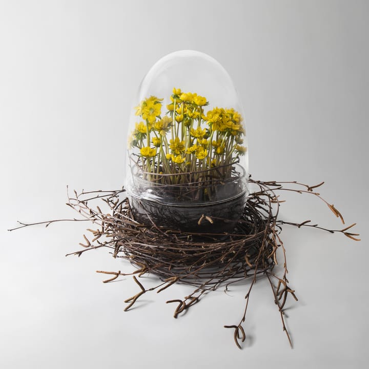 Invernadero Grow, x-large Ø20 cm Design House Stockholm