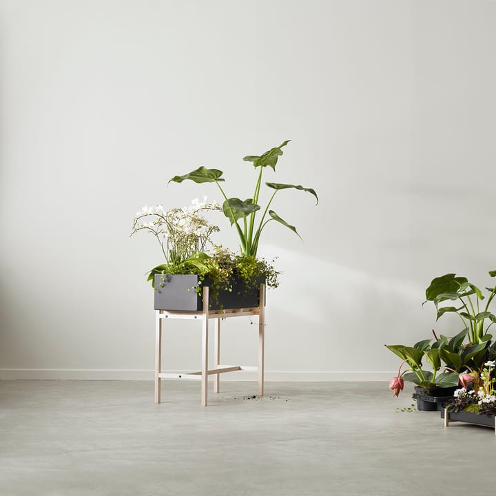 Jardinera Botanic, Negro-ceniza Design House Stockholm