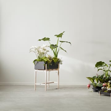 Jardinera Botanic - Negro-ceniza - Design House Stockholm