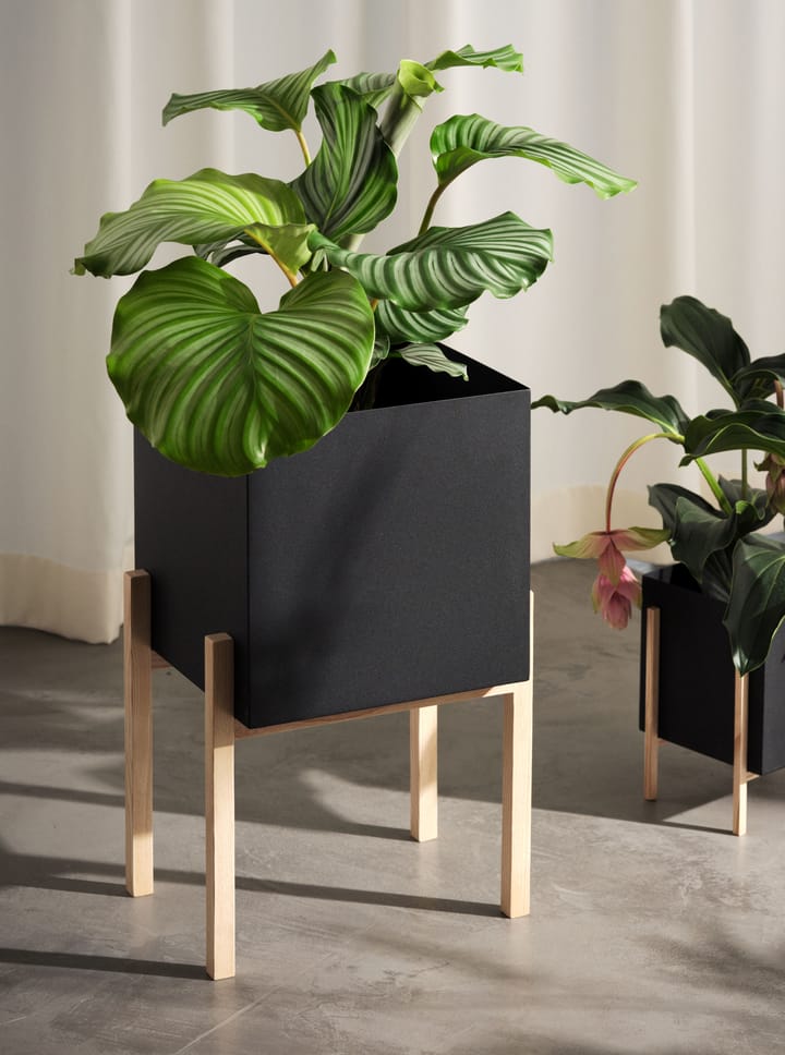 Maceta Botanic pedestal, negro-fresno Design House Stockholm