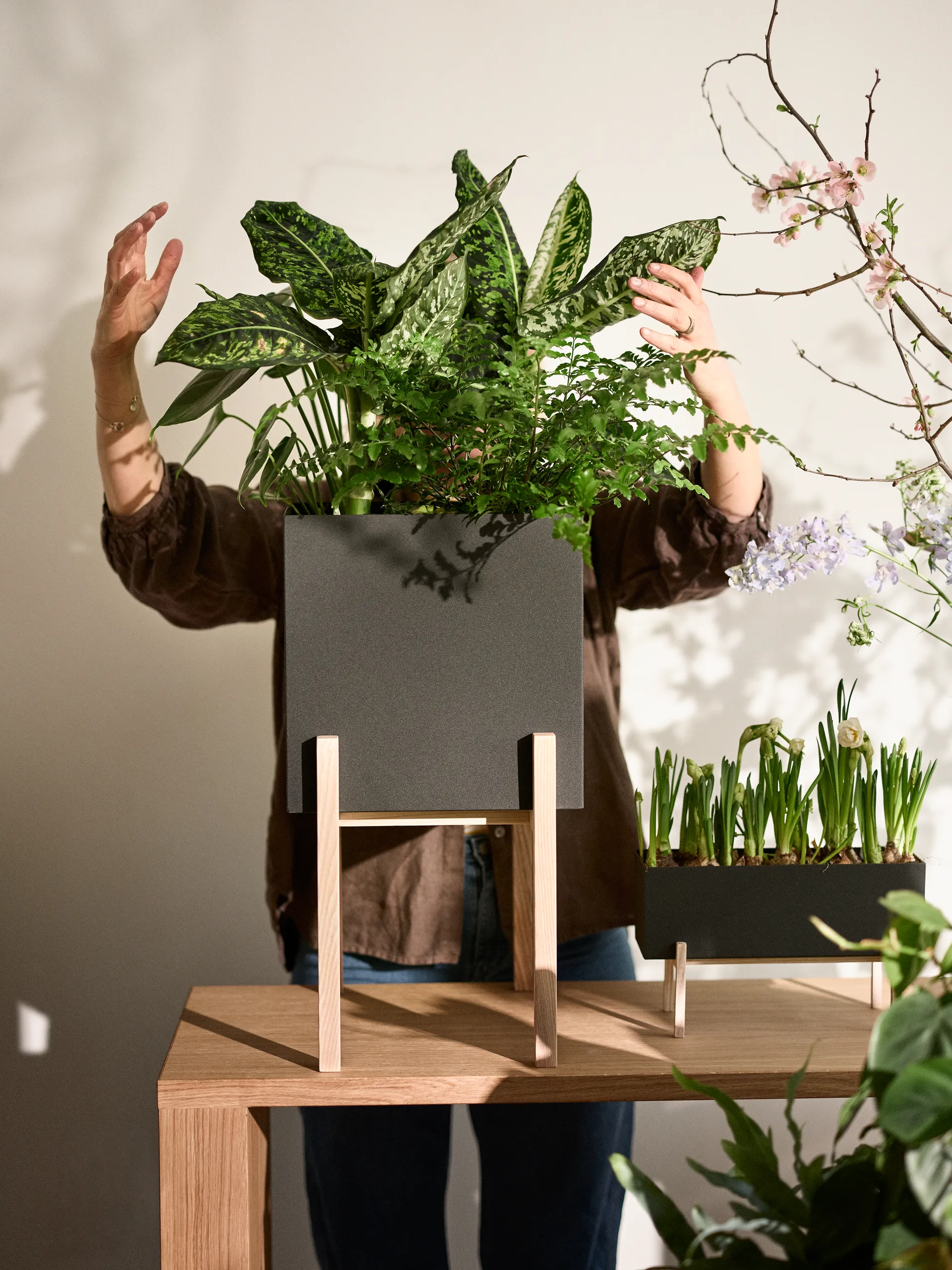 Maceta Botanic pedestal, negro-fresno Design House Stockholm