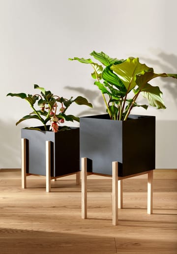 Maceta Botanic pedestal - negro-fresno - Design House Stockholm