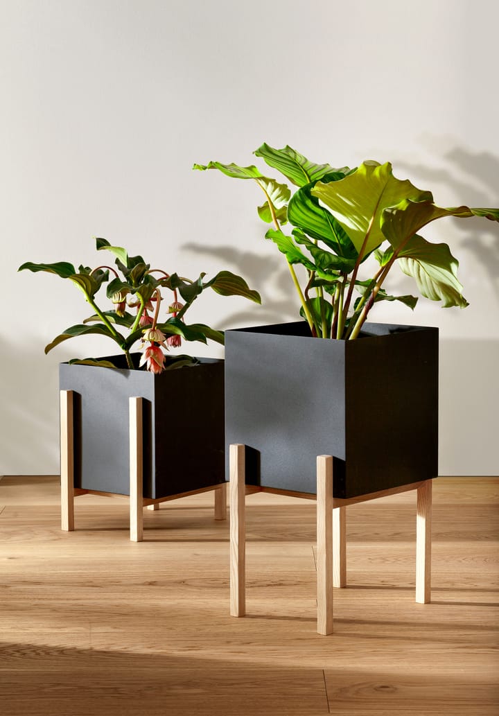 Maceta Botanic pedestal, negro-fresno Design House Stockholm