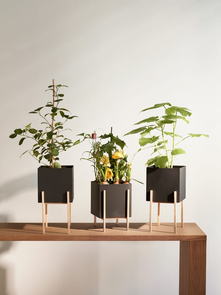 Maceta Botanic pedestal, negro-fresno Design House Stockholm