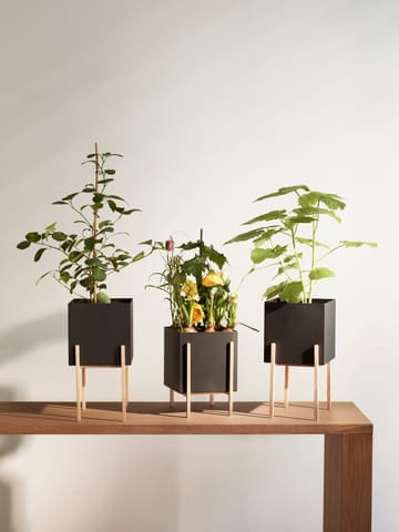 Maceta Botanic pedestal - negro-fresno - Design House Stockholm