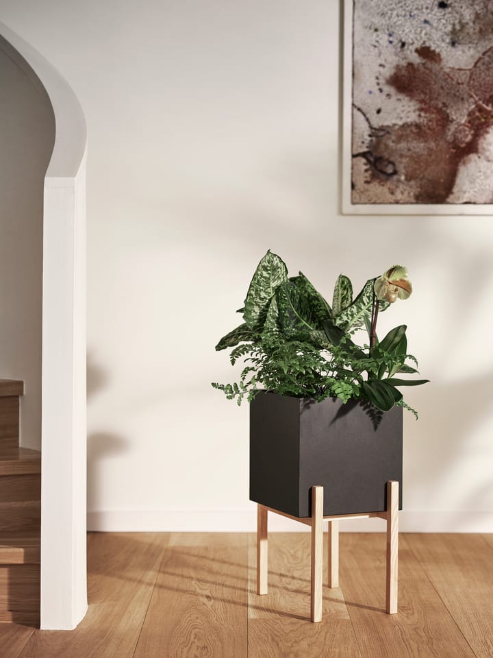 Maceta Botanic pedestal, negro-fresno Design House Stockholm