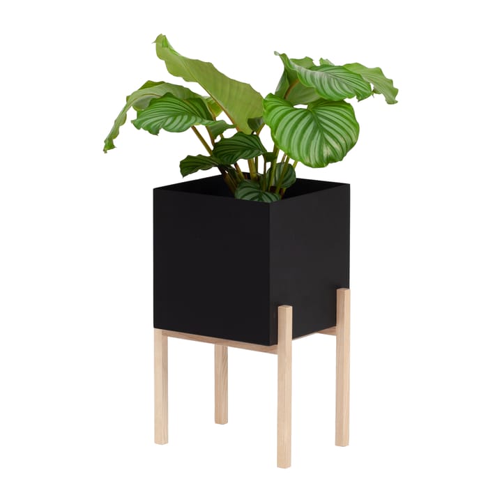 Maceta Botanic pedestal - negro-fresno - Design House Stockholm