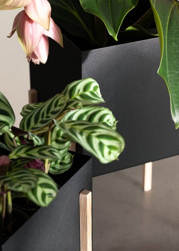 Maceta Botanic pot - negro-fresno - Design House Stockholm