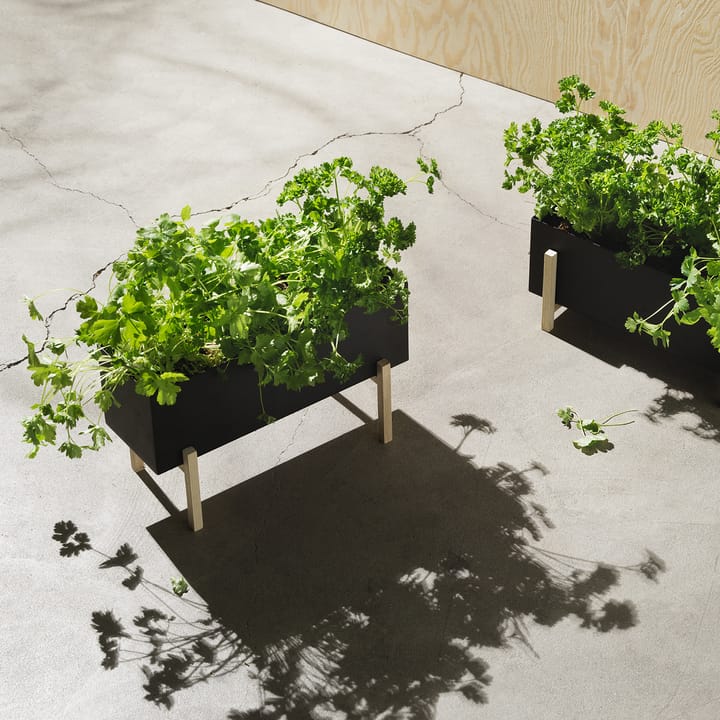 Macetero Botanic herb box - negro-fresno - Design House Stockholm