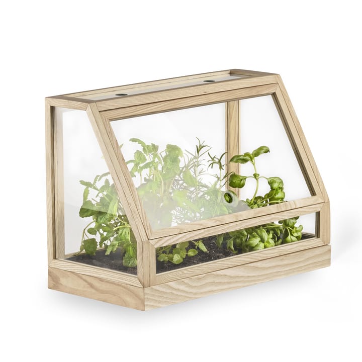 Mini invernadero Greenhouse - ask - Design House Stockholm