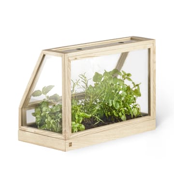Mini invernadero Greenhouse - ask - Design House Stockholm