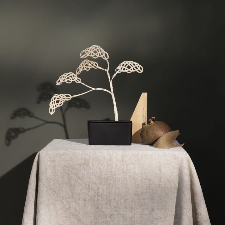 Set árbol con fragancia Bonsai - cloud - Design House Stockholm