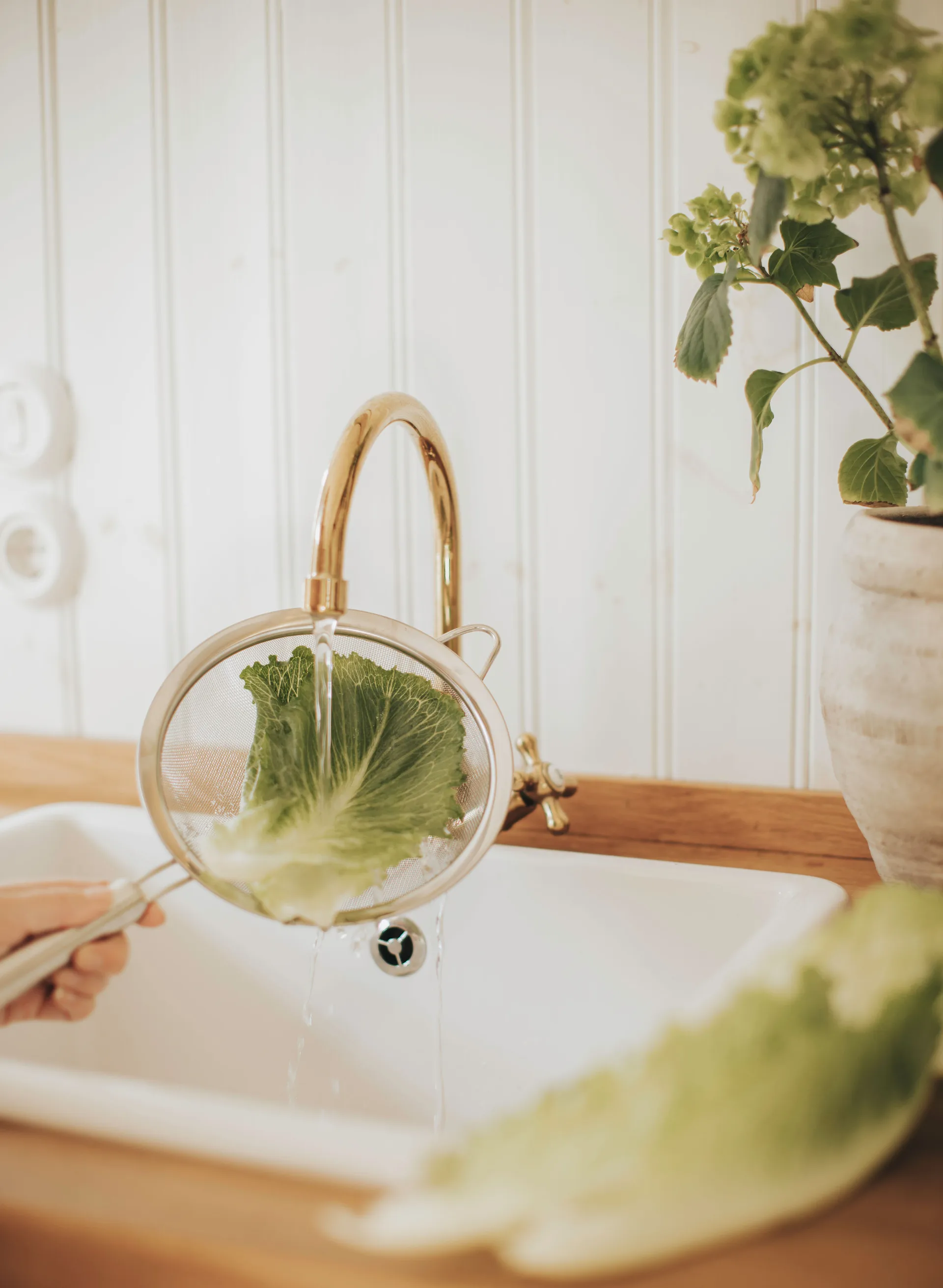 Colador Pia Ø20 cm, Acero inoxidable Dorre