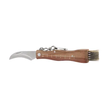 Cuchillo para setas Stuti con mango de madera marrón y cepillo 13×2 cm - Acero inoxidable - Dorre