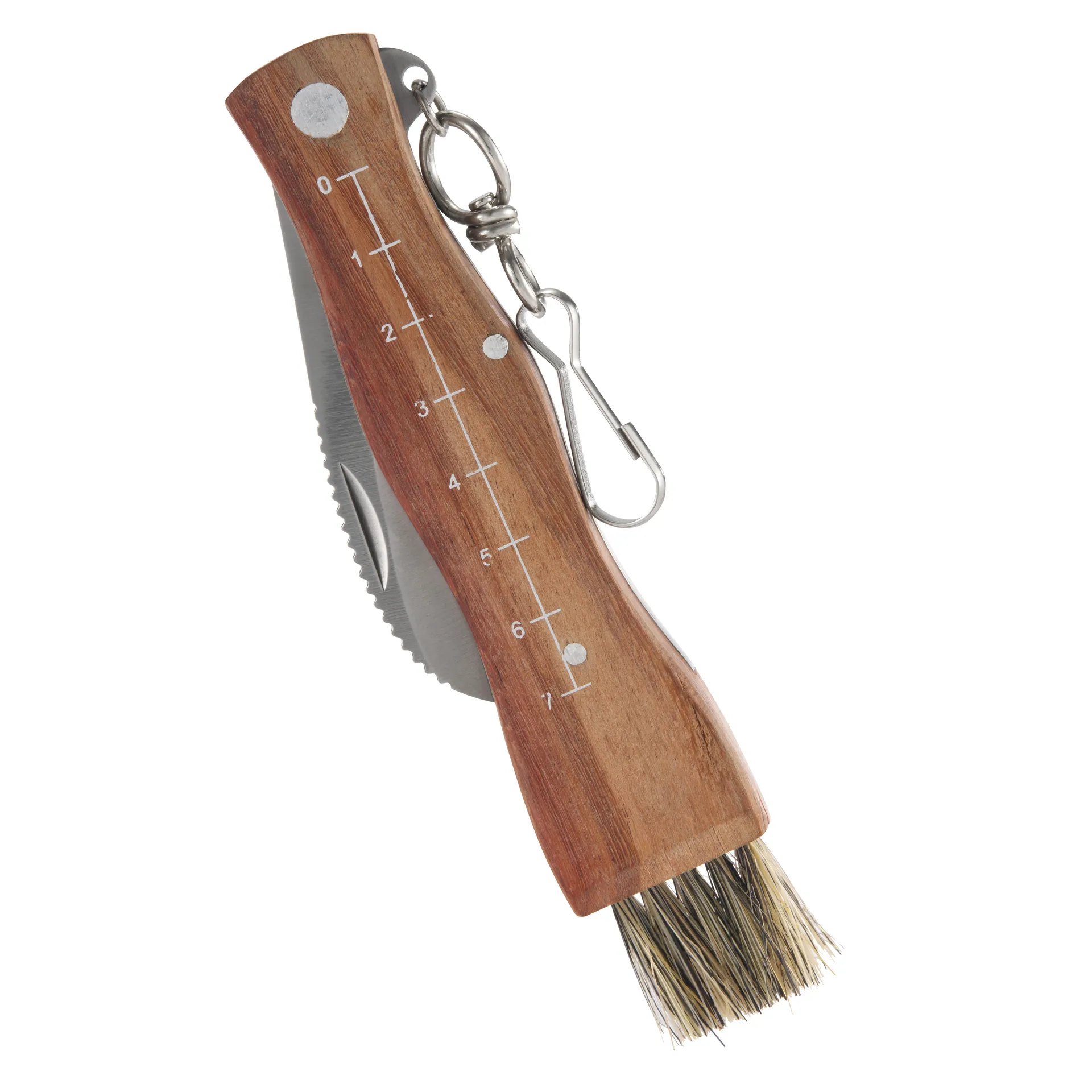 Cuchillo para setas Stuti con mango de madera marrón y cepillo 13×2 cm, Acero inoxidable Dorre