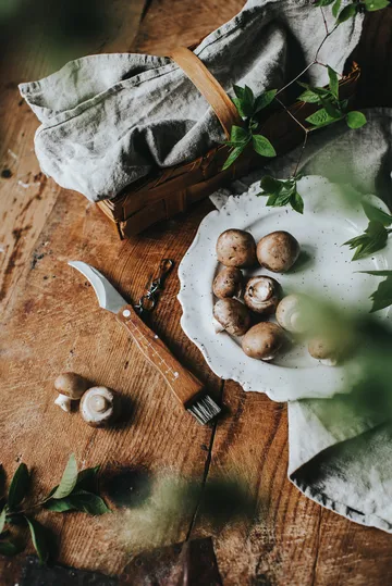 Cuchillo para setas Stuti con mango de madera marrón y cepillo 13×2 cm - Acero inoxidable - Dorre