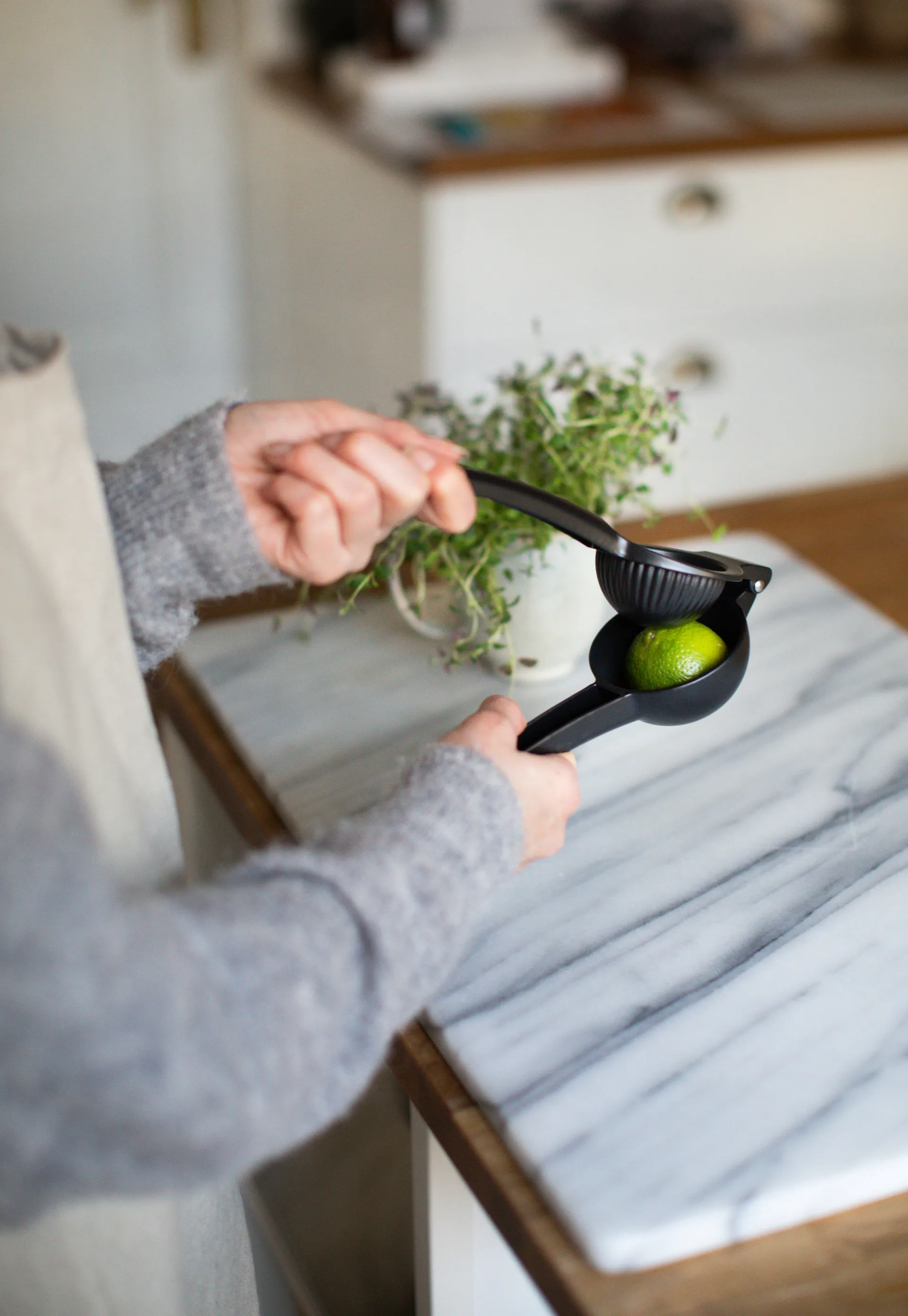 Exprimidor de cítricos Cyra aluminio, negro Dorre