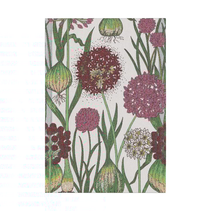 Paño de cocina Allium 35x50 cm - Multi - Ekelund Linneväveri
