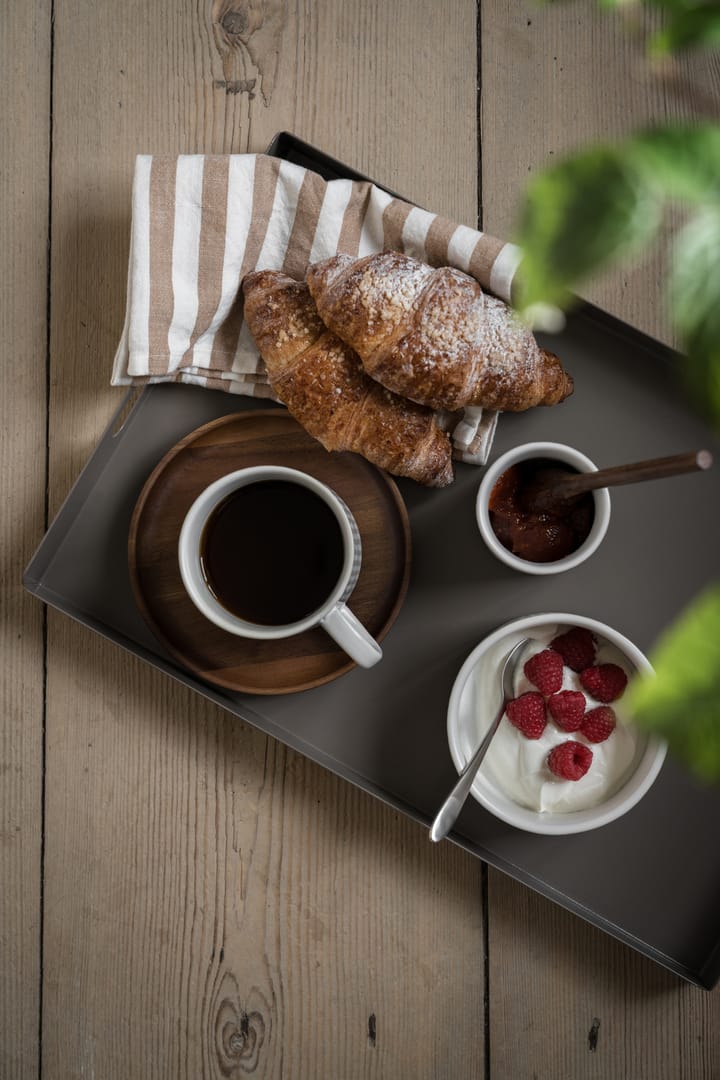 Bandeja metal Ernst 30x45 cm, Topo ERNST