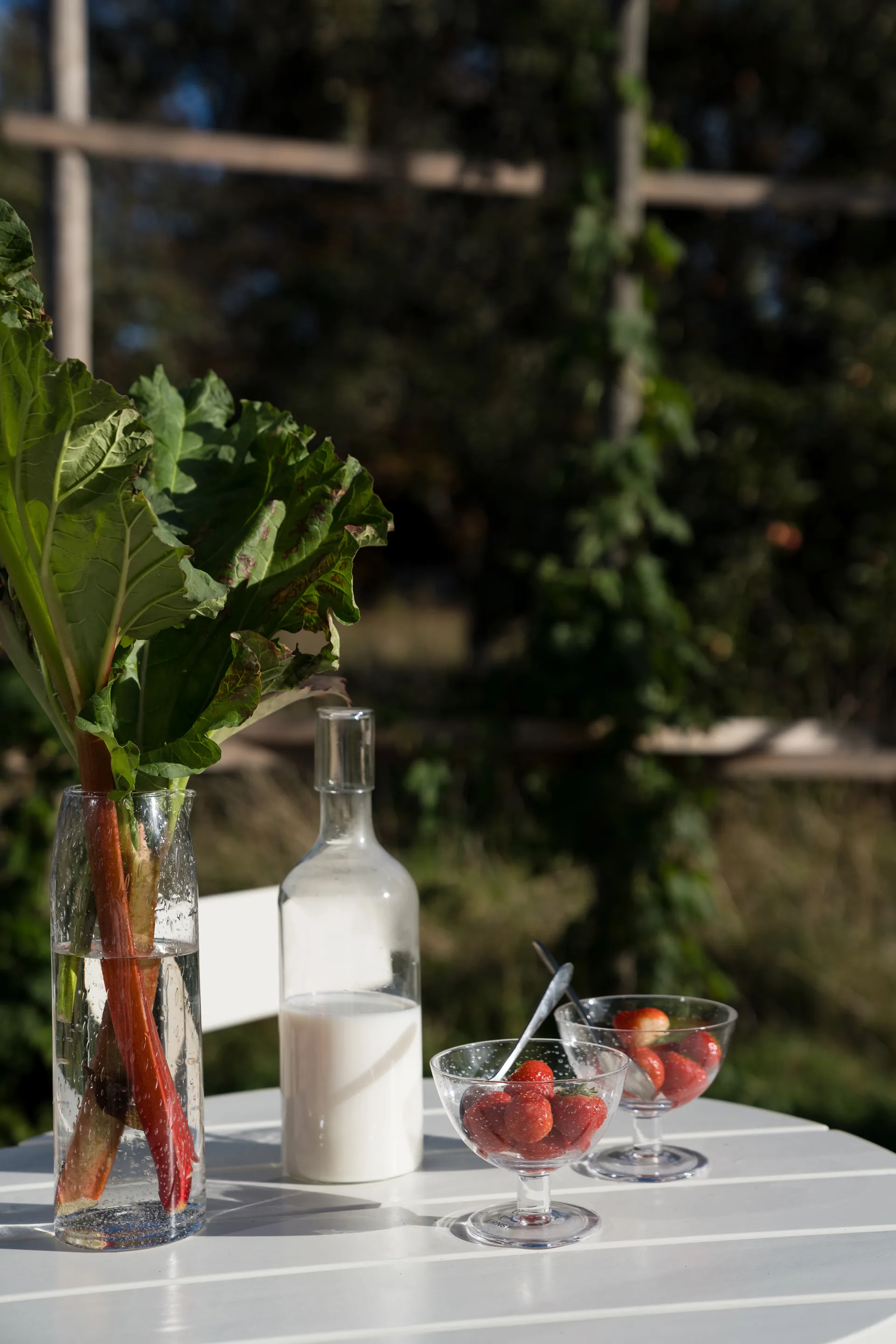 Cuecos Ernst vidrio burbujeado 2-pack, Claro ERNST