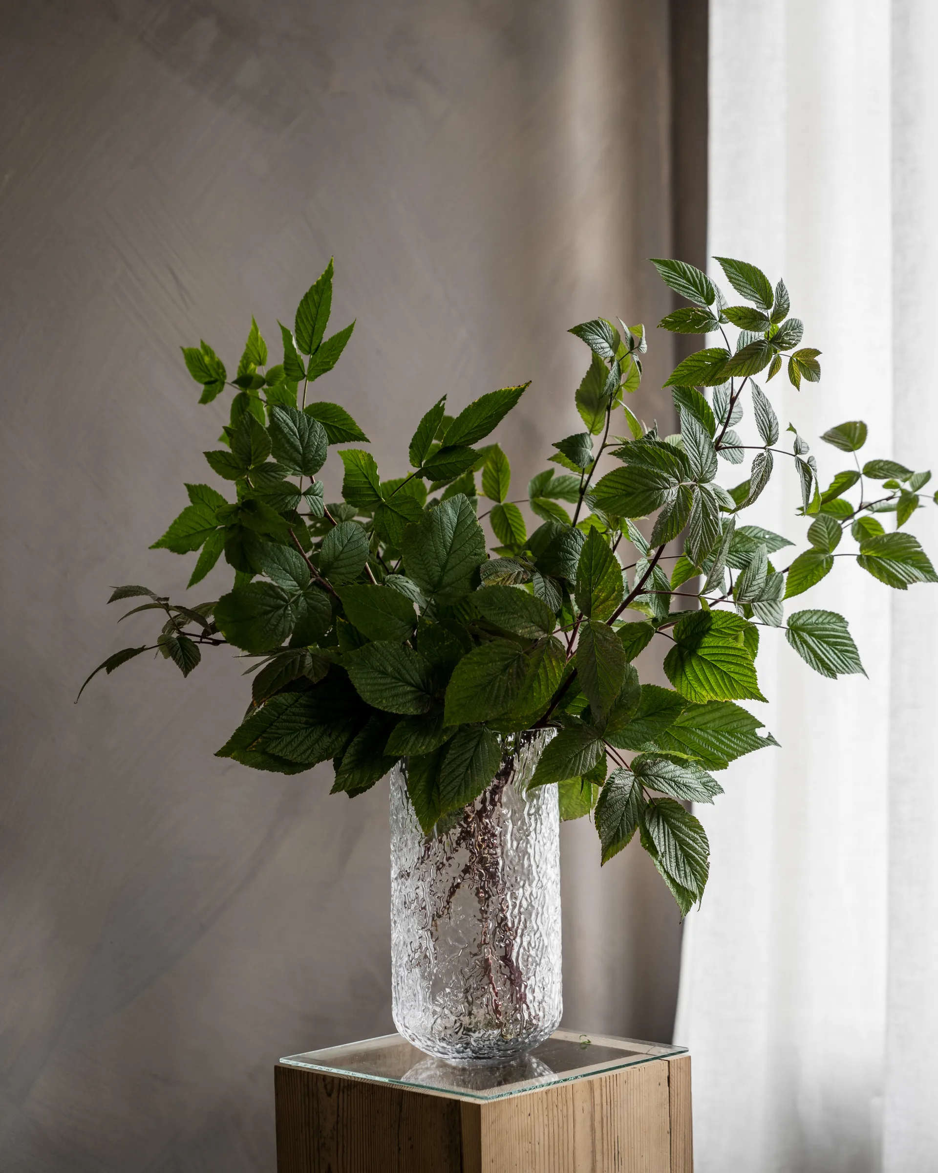 Ernst jarrón estampado 25 cm, Claro ERNST