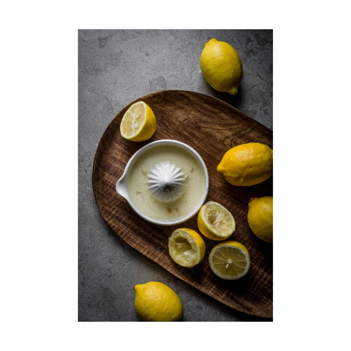 Exprimidor de cítricos Ernst gres, Blanco ERNST