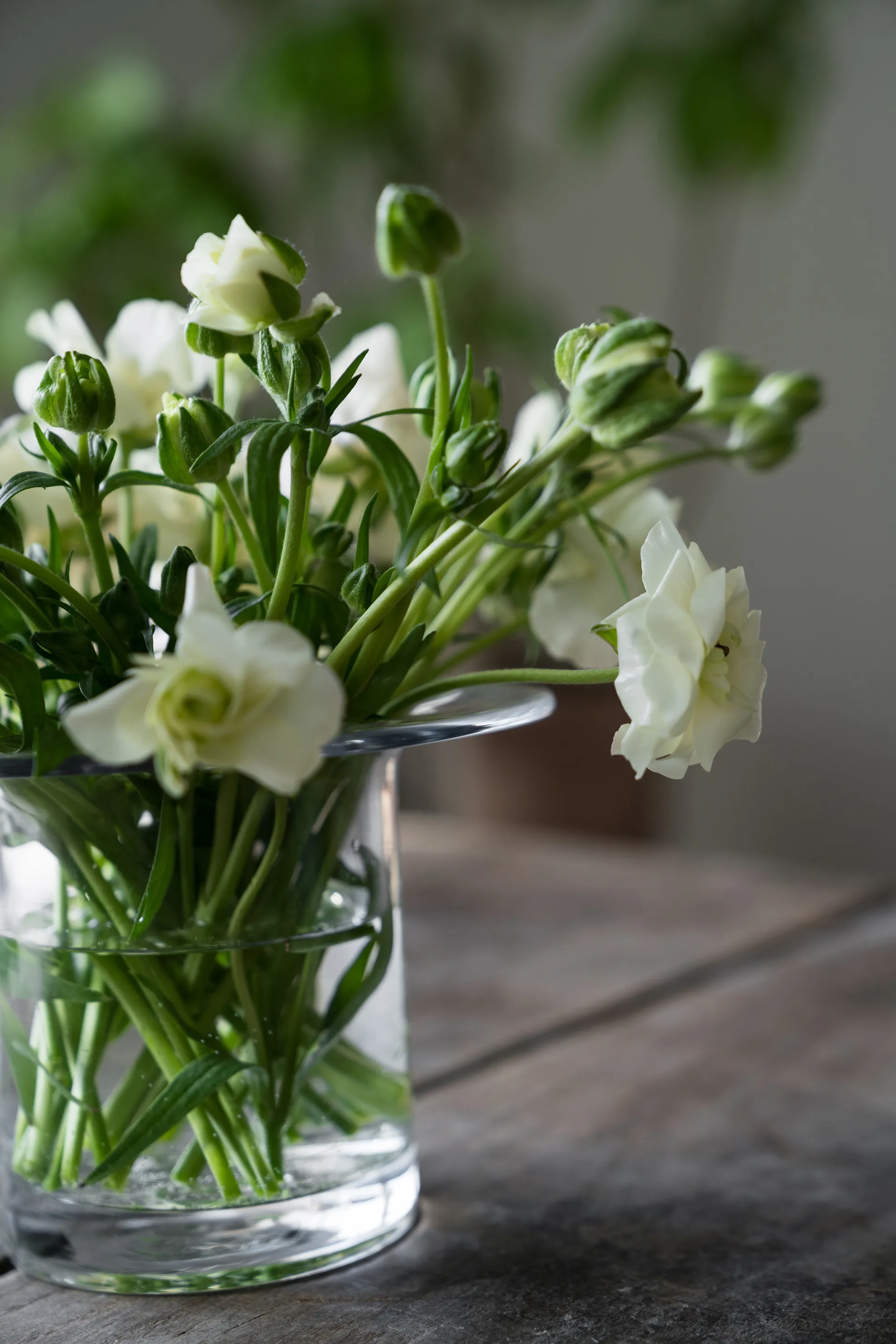 Jarrón de vidrio Ernst Ø17 cm, H 13 cm ERNST