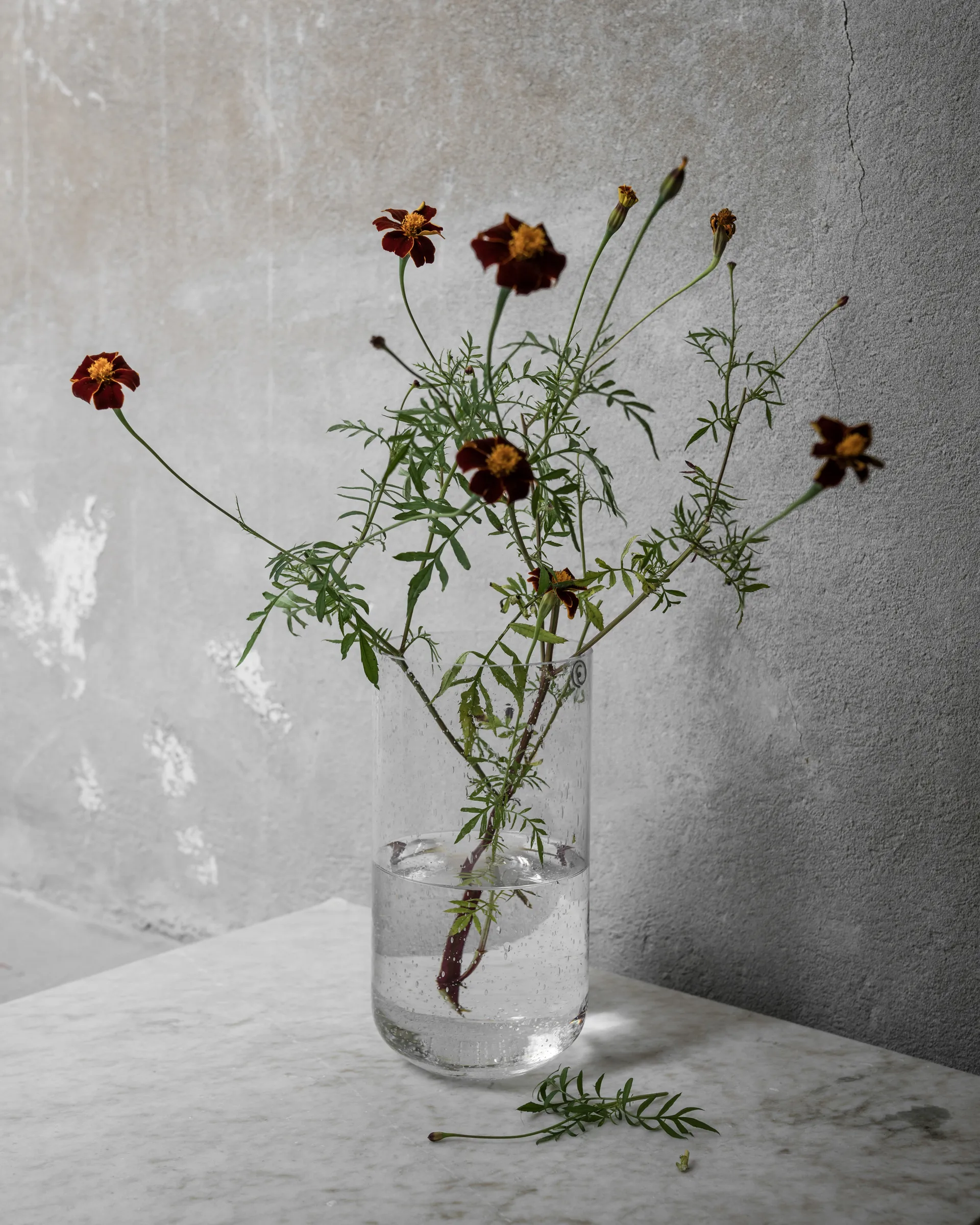 Jarrón Ernst vidrio burbujeado 25 cm, Claro ERNST