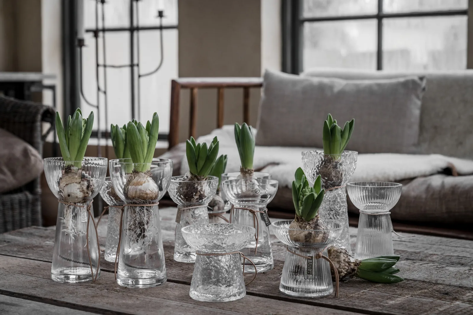 Jarrón para jacintos de vidrio Ernst, 19 cm ERNST