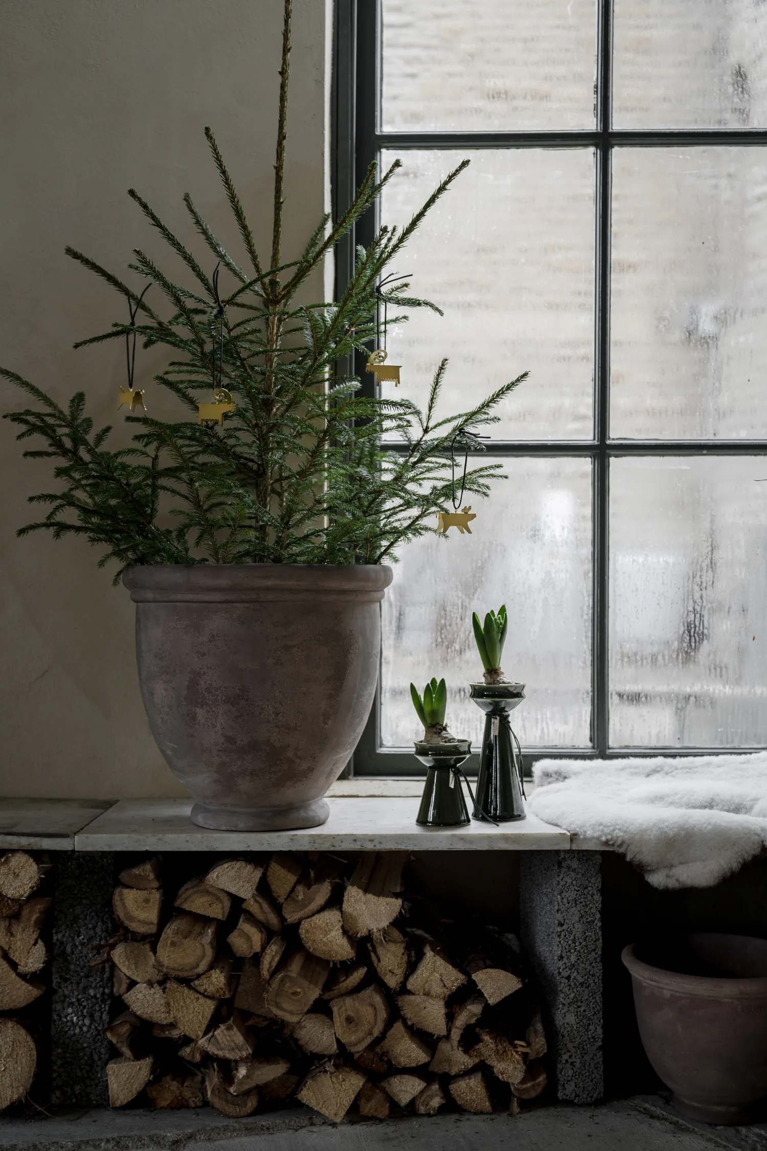 Jarrón para jacintos Ernst 12 cm, Verde oscuro ERNST