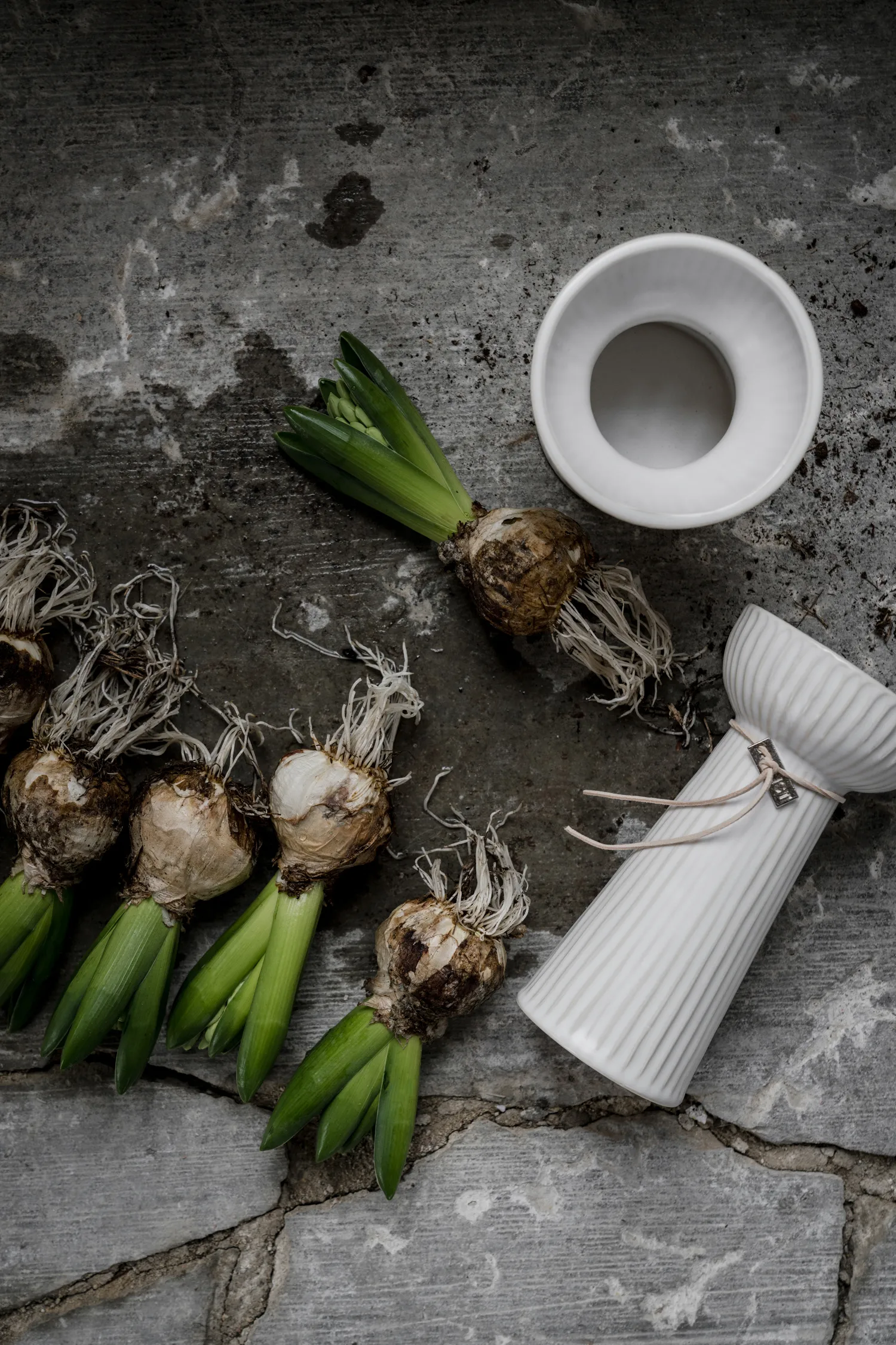 Jarrón para jacintos Ernst acanalado 19 cm, Blanco natural ERNST