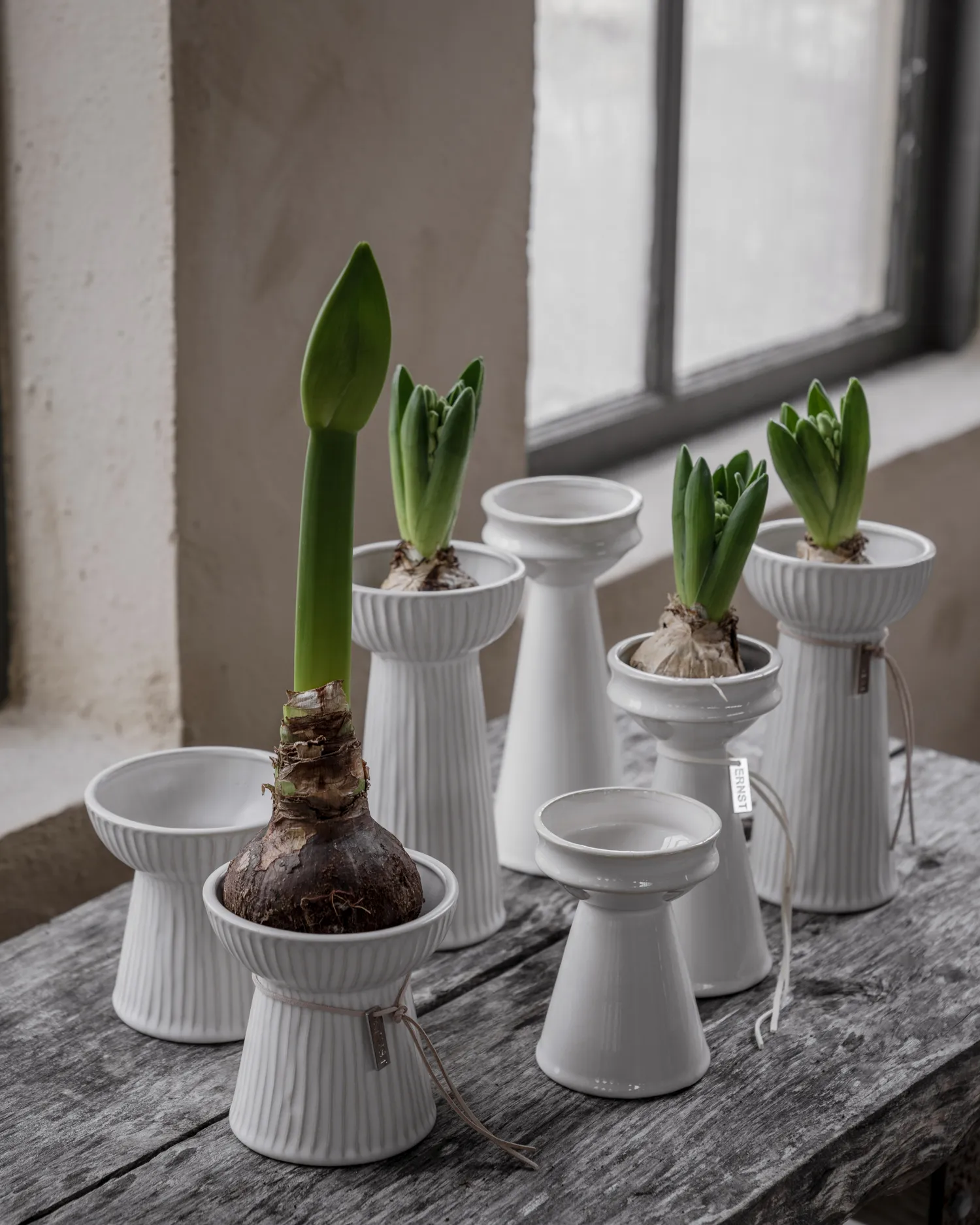 Jarrón para jacintos Ernst acanalado 19 cm, Blanco natural ERNST