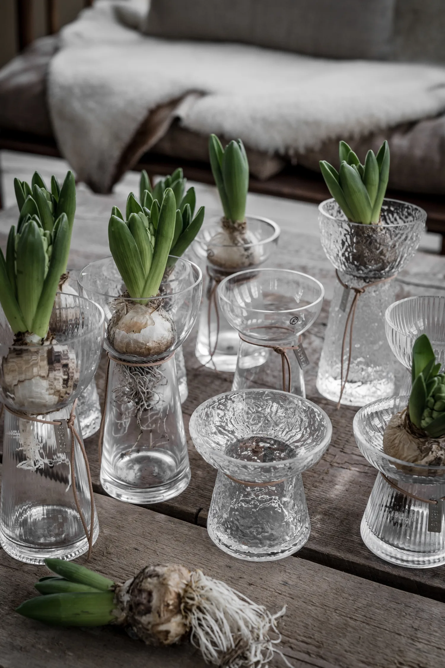 Jarrón para jacintos Ernst acanalado, 19 cm ERNST