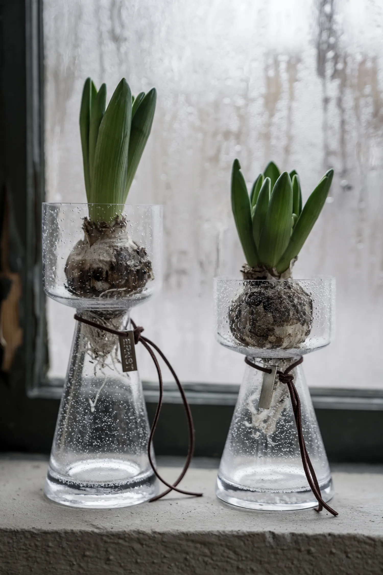 Jarrón para jacintos Ernst de vidrio burbujeante, 20 cm ERNST