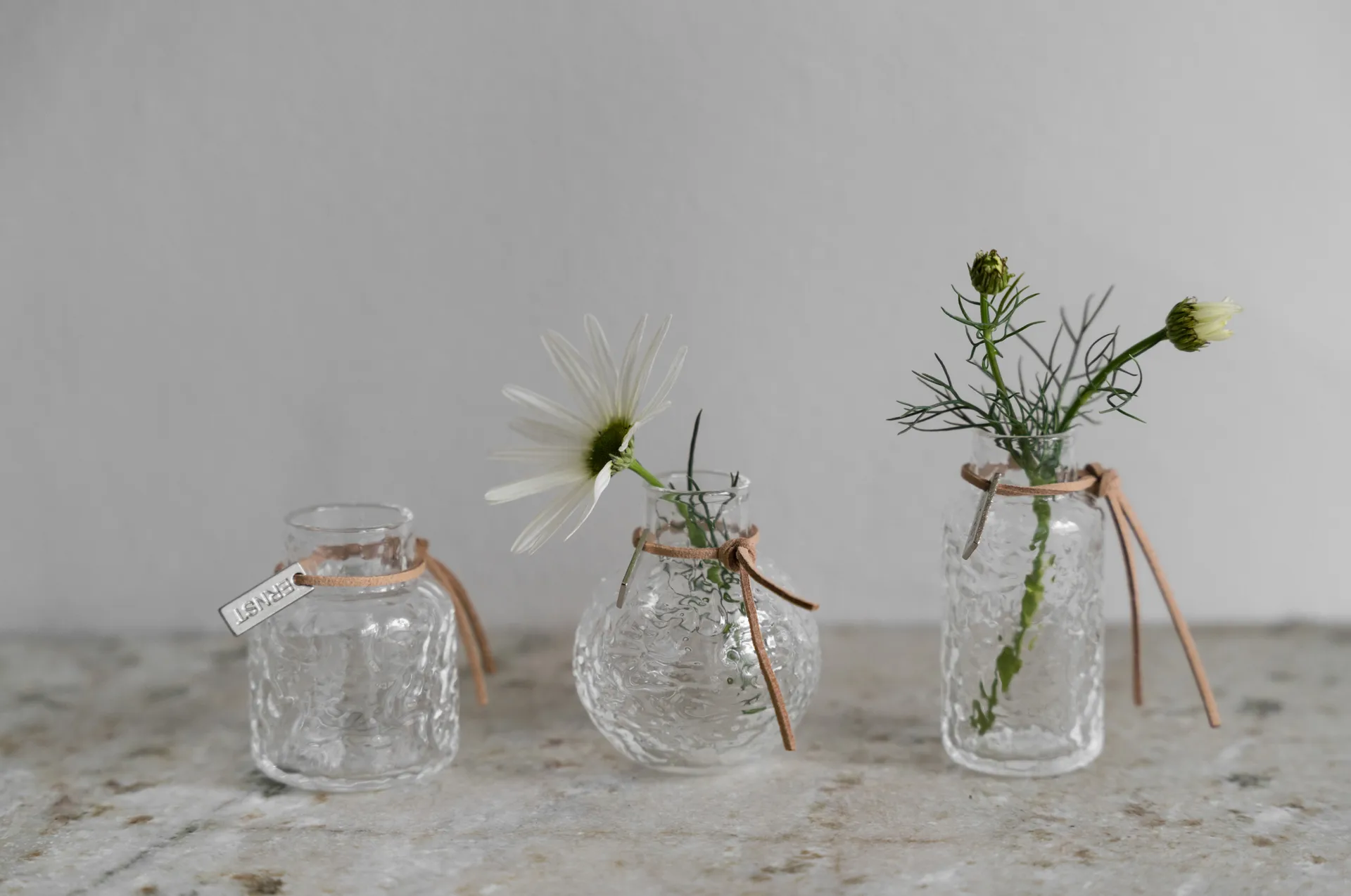 Jarrones estampados Ernst, set de regalo de 3 piezas, Transparente ERNST