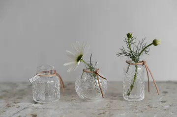 Jarrones estampados Ernst, set de regalo de 3 piezas - Transparente - ERNST