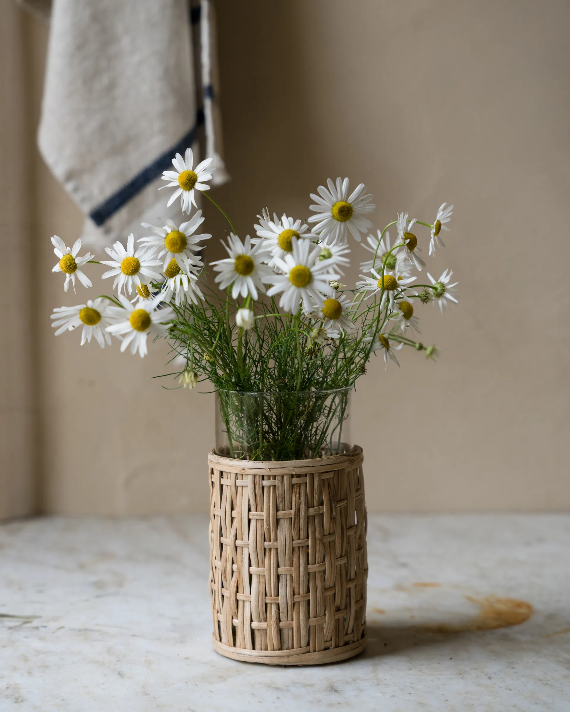 Jarrón/portavelas Ernst en cesta, Natural, Ø10 x 18 cm ERNST