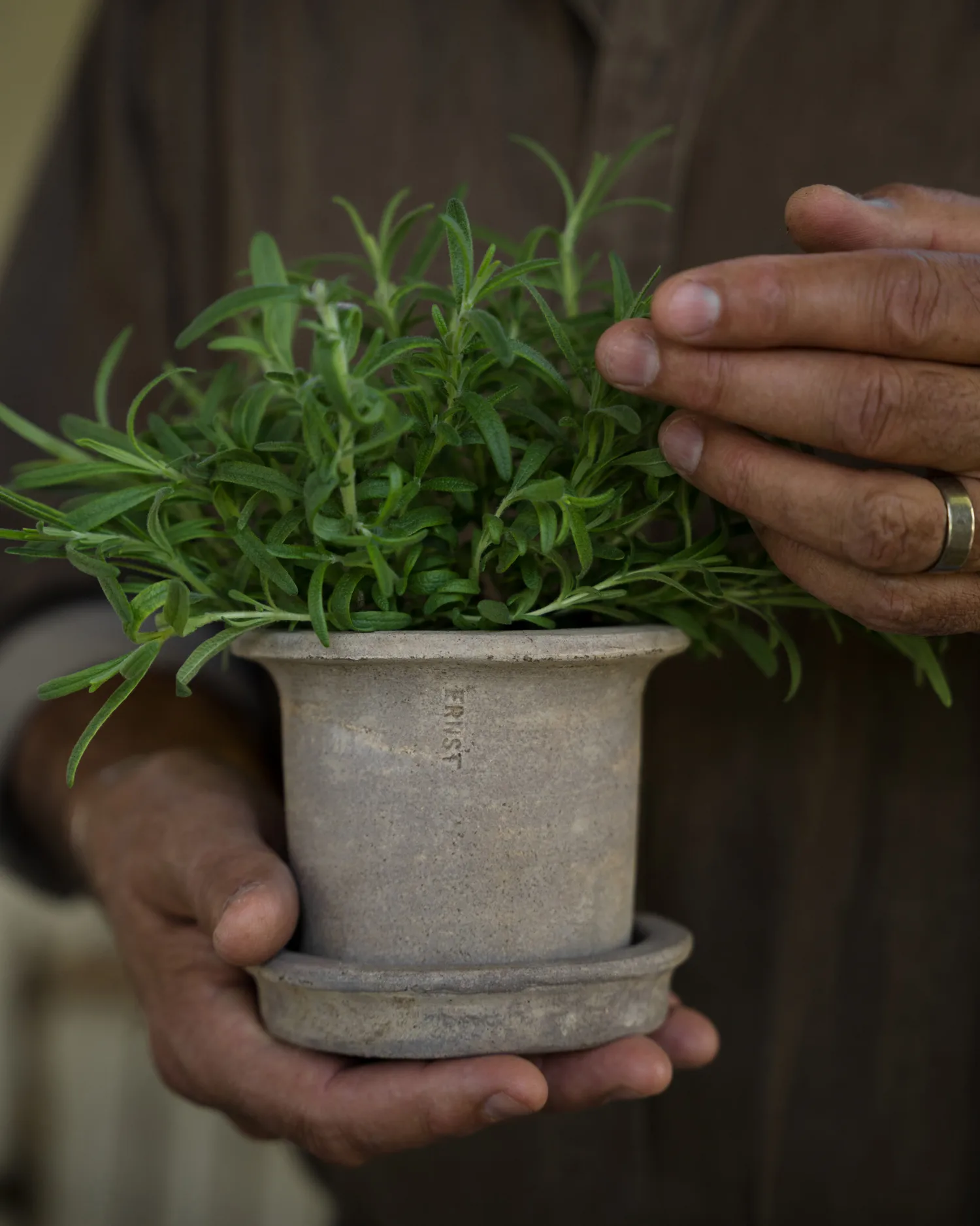 Maceta de terracota Ernst con plato, Ø12 × 10 cm ERNST