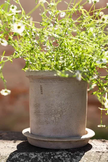 Maceta de terracota Ernst con plato - Ø16×16 cm - ERNST