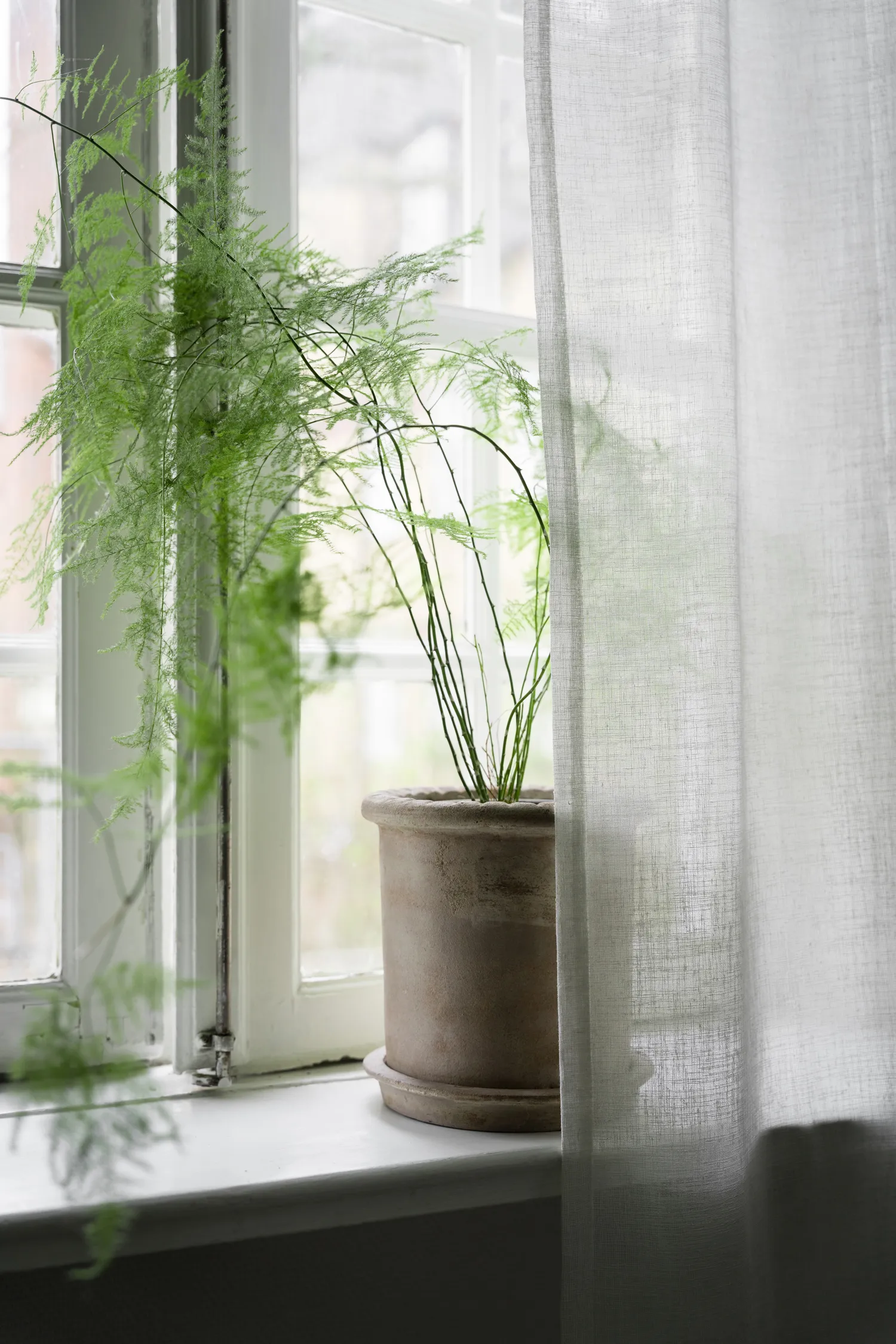 Maceta de terracota Ernst con plato, Ø25×28 cm ERNST