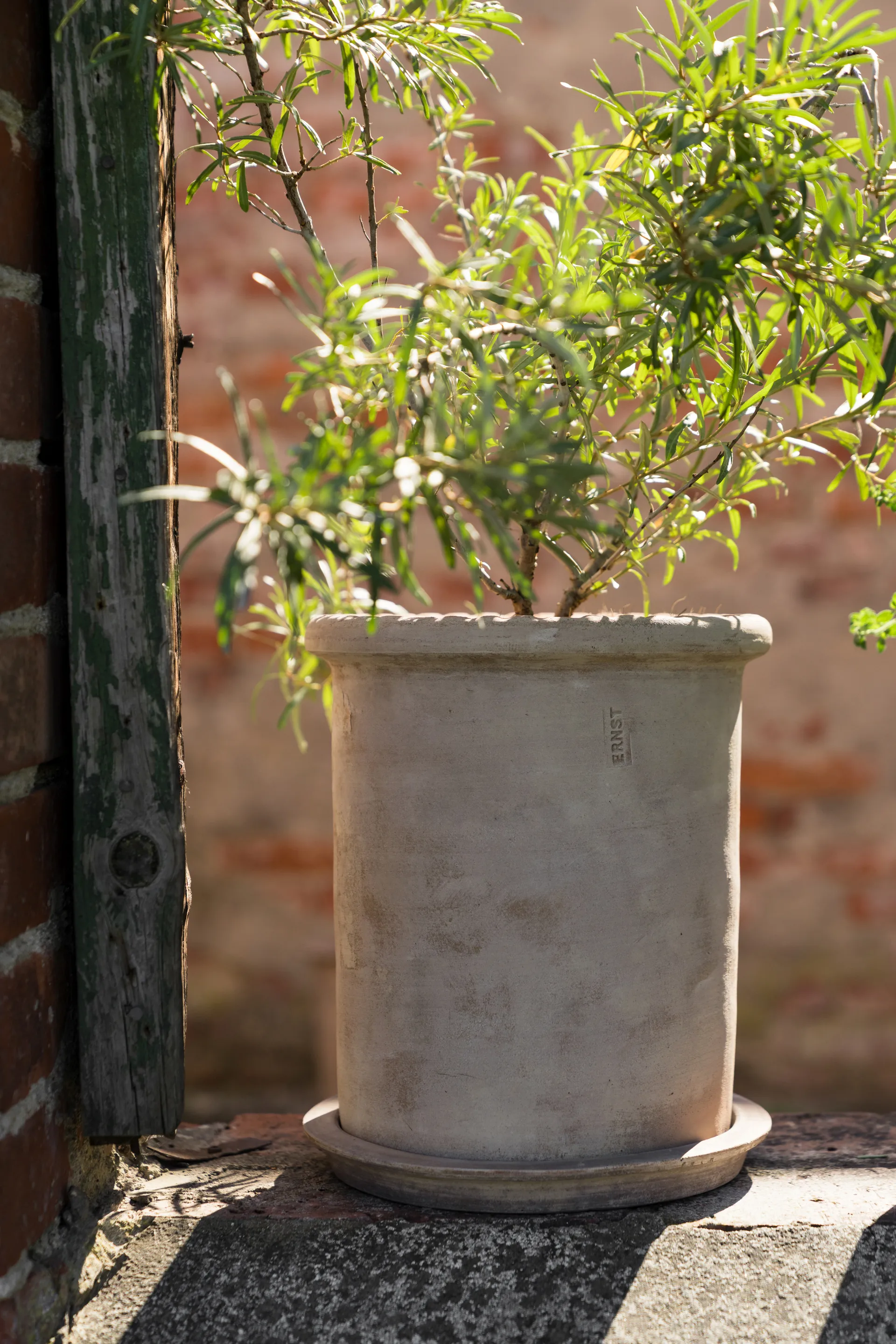 Maceta de terracota Ernst con plato, Ø25×28 cm ERNST