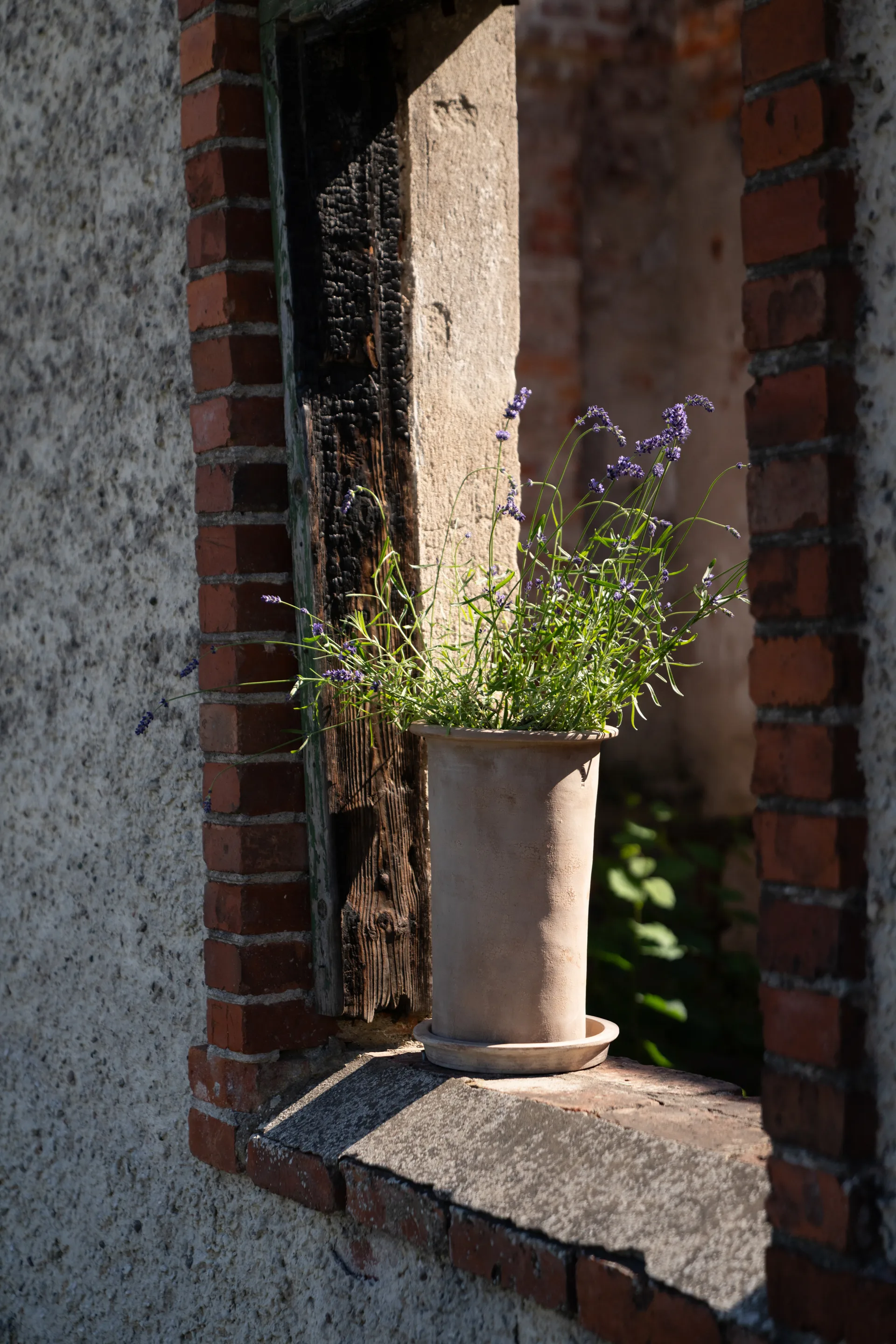 Maceta de terracota Ernst con plato, Ø25x35 cm ERNST