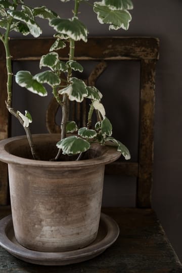 Maceta terracota Ernst con plato - Ø24 cm - ERNST