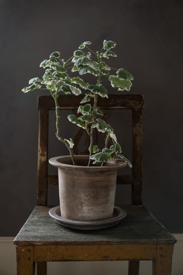 Maceta terracota Ernst con plato - Ø24 cm - ERNST
