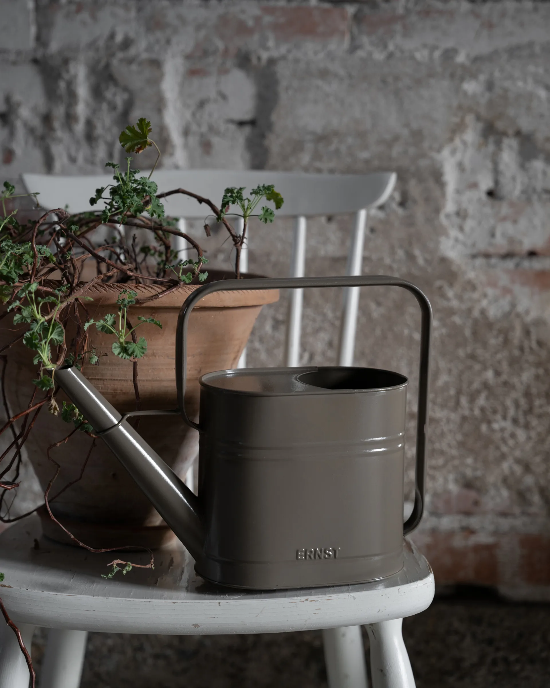 Regadera Ernst, Mullvad, 3 L ERNST