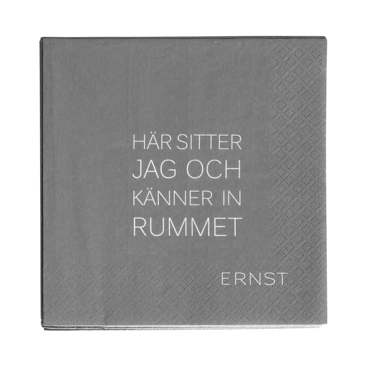 Servilleta con cita Ernst Tid-Rum, set de 20, gris ERNST
