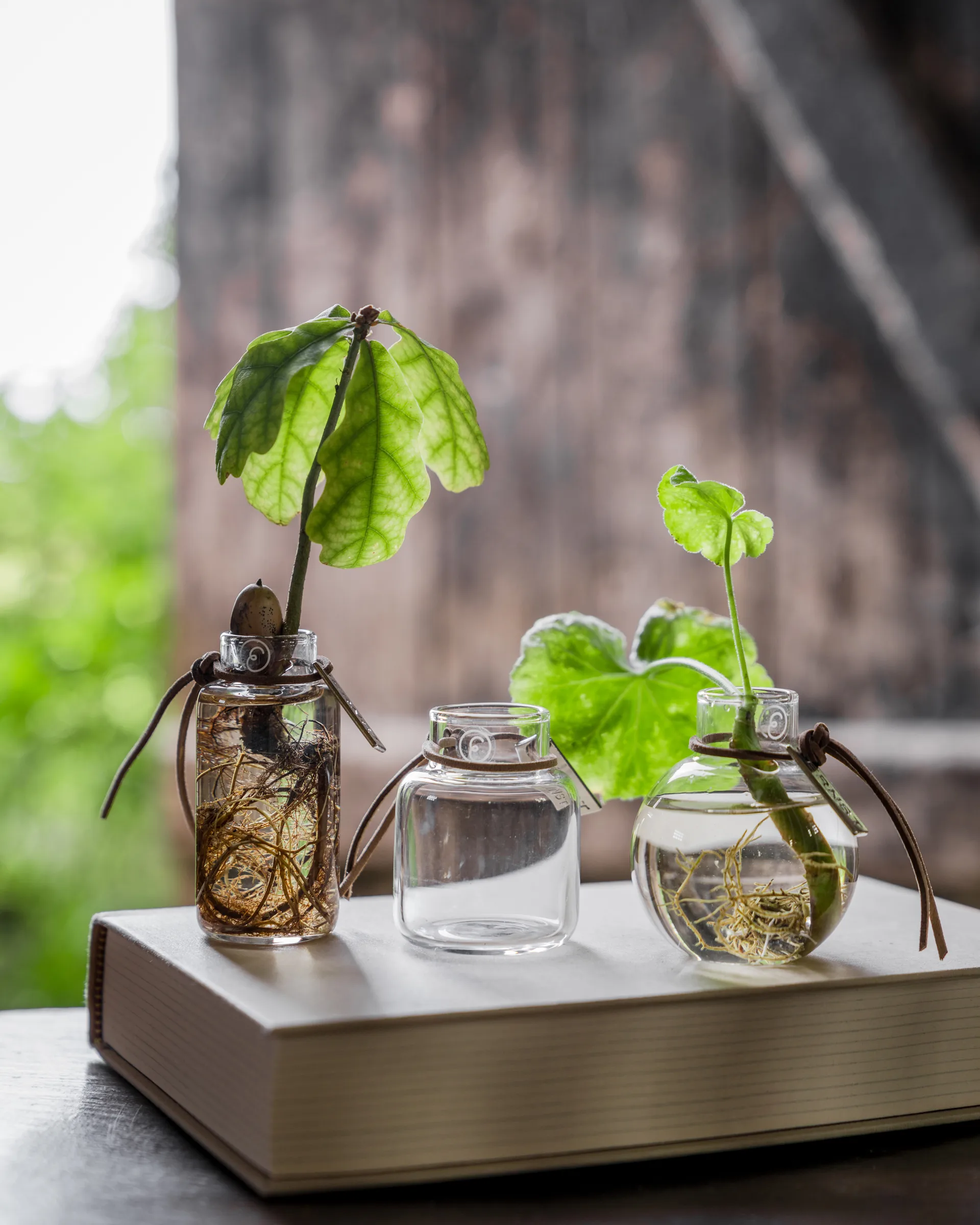 Set de jarrones Ernst de regalo 3 piezas, Claro ERNST