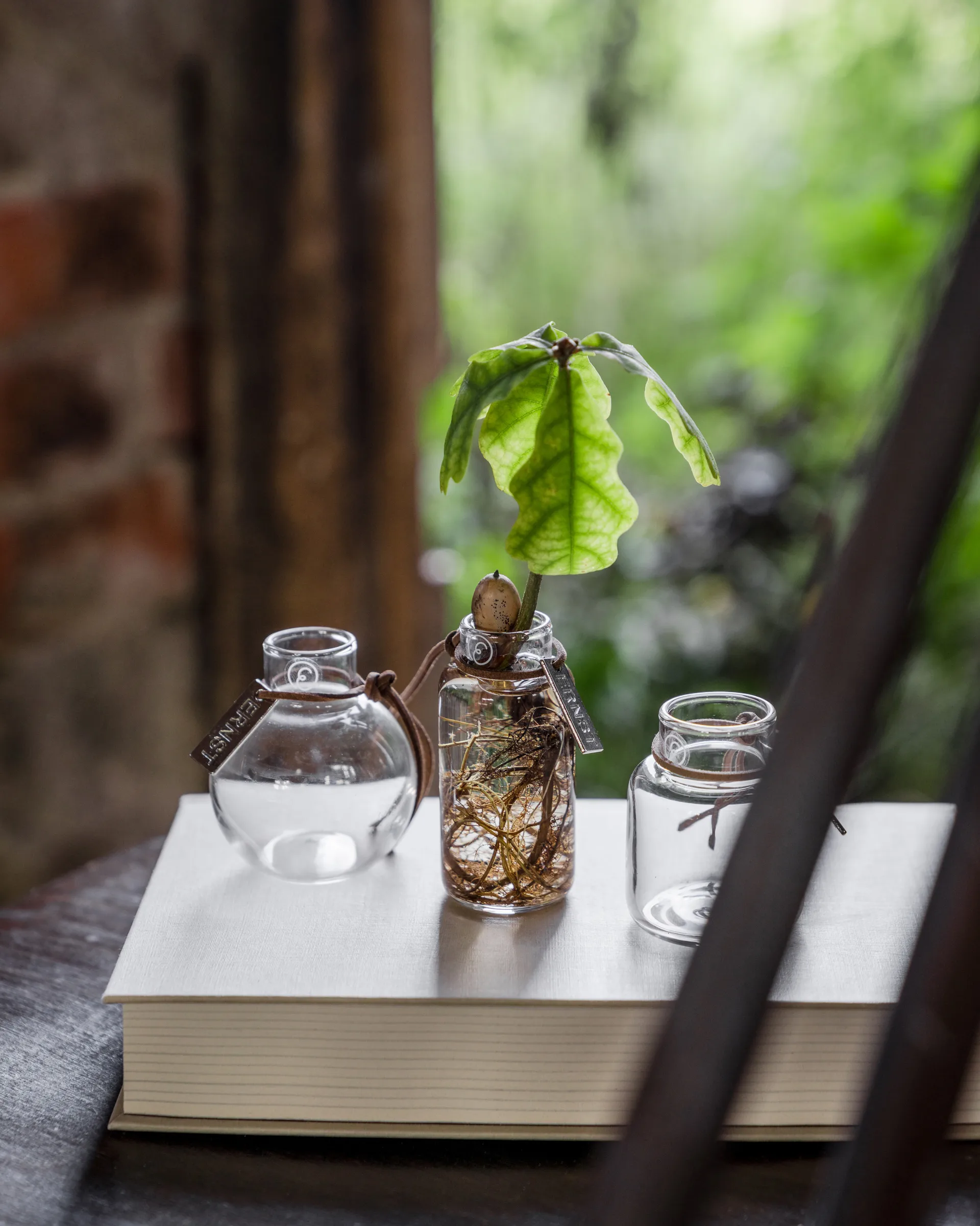 Set de jarrones Ernst de regalo 3 piezas, Claro ERNST