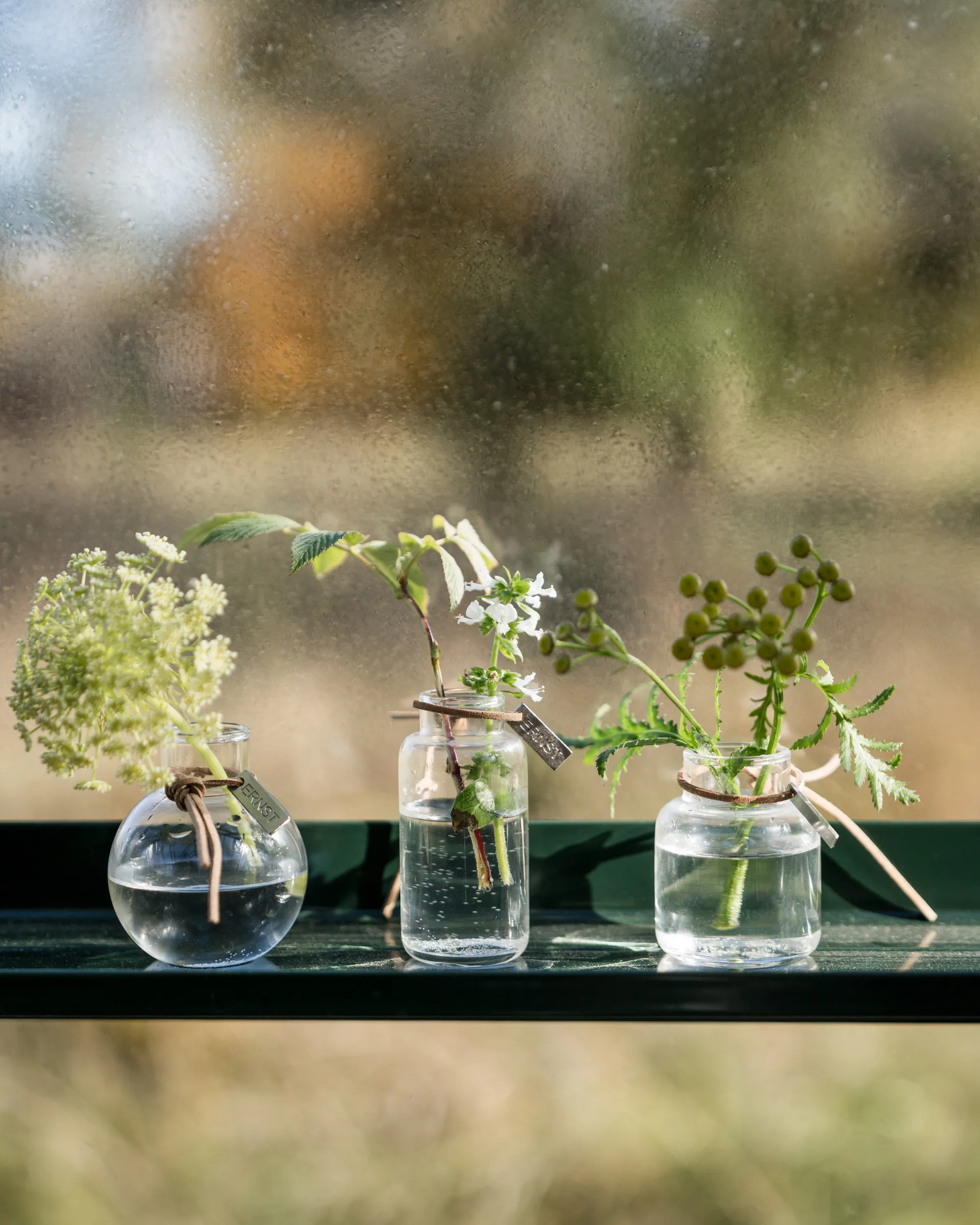 Set de jarrones Ernst de regalo 3 piezas, Claro ERNST